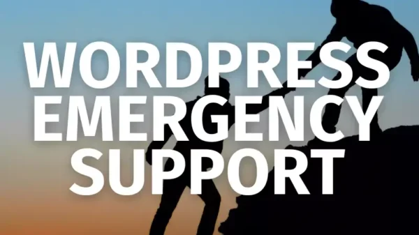 WordPress Emergency Support